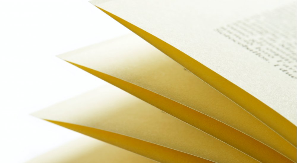 NIAS Individual Fellowships Image