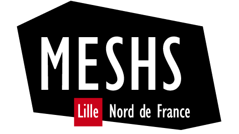 Maison Européenne des Sciences de l'Homme et de la Société (MESHS) Logo